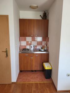 Kuchyň nebo kuchyňský kout v ubytování Apartmani Udovicic