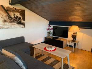 ein Wohnzimmer mit Sofa und Fernseher in der Unterkunft Appartement Bigarena in Hendaye + 19 Fotos