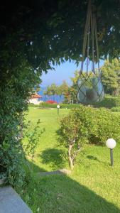 A garden outside Eirinis House