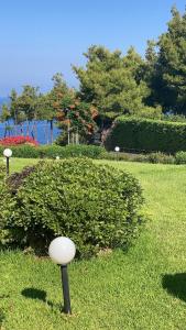 A garden outside Eirinis House
