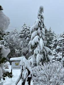 Queen of Orliaka during the winter