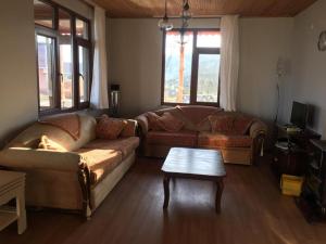 uma sala de estar com dois sofás e uma mesa de centro em müstakil köy evi em Trabzon