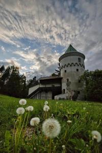 Fotografie z fotogalerie ubytování Apartman u Štoly v destinaci Jáchymov