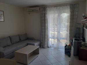 Χώρος καθιστικού στο Lucic apartment Rafailovici