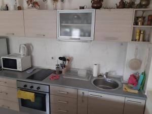Η κουζίνα ή μικρή κουζίνα στο Lucic apartment Rafailovici