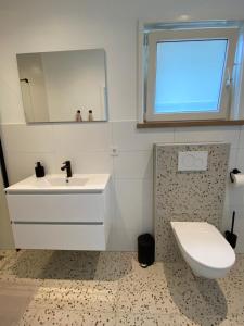 ein Badezimmer mit einem weißen Waschbecken und einem WC in der Unterkunft ‘t Hoekje 49 in Biggekerke