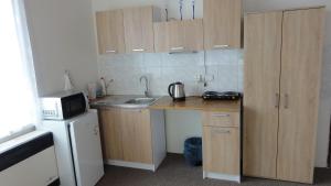 eine kleine Küche mit einer Spüle und einer Mikrowelle in der Unterkunft Penzion U Hradeb in Znojmo