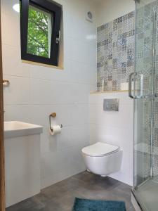 a bathroom with a toilet and a sink and a window at DĘBKI DOMKI SASANKOWE in Dębki