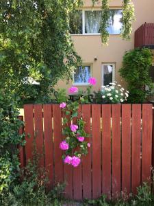 a red fence with pink flowers in front of a house at Monikas in Lapmežciems