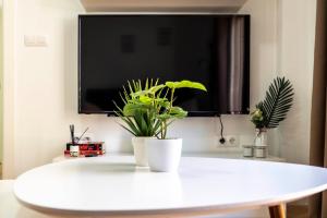 Apartamento Buen Camino的电视和/或娱乐中心