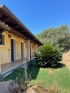 a house with a plant in front of it at Agriturismo San Giovanni in Olbia