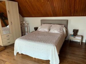 1 dormitorio con 1 cama grande y techo de madera en Le Relax, en Saint-Aignan