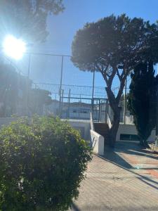 Zdjęcie z galerii obiektu Apartamento la almadraba w mieście Chiclana de la Frontera