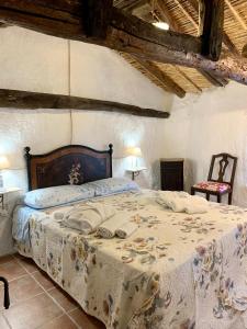 1 dormitorio con 1 cama grande en una habitación en Sa domu de don Ninnu bed breakfast Spa, en Gesturi