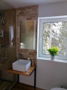 La salle de bains est pourvue d'un lavabo blanc et d'une fenêtre. dans l'établissement Sky view Ranca-Transalpina, à Rânca