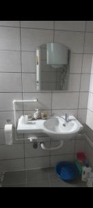 Apartman LJILJANA BELA CRKVA في بيلا تسركفا: حمام مع حوض أبيض ومرآة