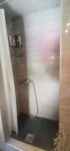 um chuveiro com uma mangueira na casa de banho em APARTMAN SLAVUJ em Karaburma