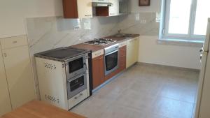 La cocina está equipada con horno y fogones. en Apartma Sterle, en Stari Trg pri Ložu