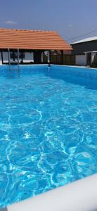 una gran piscina de agua azul frente a un edificio en Family House Pristol, en Pristol