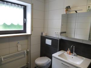 a bathroom with a toilet and a sink and a window at Ferienwohnung Boller I für 2 Personen in Marktredwitz +27 photos