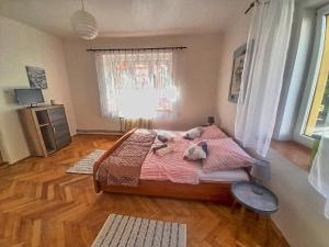 sypialnia z łóżkiem z pluszowym misiem w obiekcie Apartmán Isabel w mieście Děčín