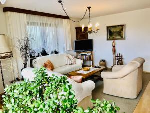 a living room with two couches and a table at Ferienwohnung Boller I für 5 Personen in Marktredwitz