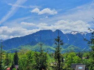 a view of the mountains from a house at Domki Mroz in Zakopane