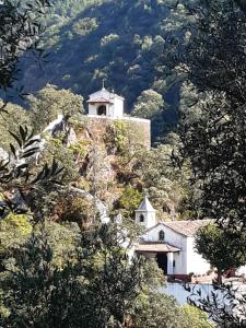 a church on the side of a hill with trees at Casa Manel d'Anita in Alge