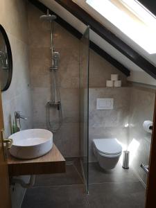 ein Bad mit einer Dusche, einem Waschbecken und einem WC in der Unterkunft Guest House Pikala in Goveđari