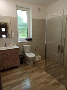 La salle de bains est pourvue de toilettes et d'une douche en verre. dans l'établissement Prázdninový dům Adrelot 33, 