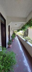 a hallway with potted plants on the side of a building at Villa Madani in Durrës