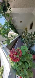 a hallway with flowers and plants on a balcony at Villa Madani in Durrës