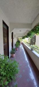 a hallway with potted plants on the side of a building at Villa Madani in Durrës