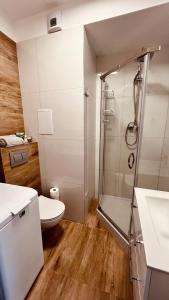 a bathroom with a toilet and a shower in it at Green Stone Apartment in Bydgoszcz