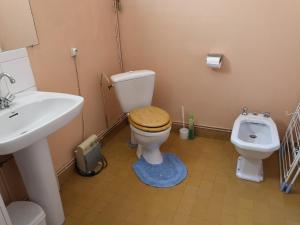 a bathroom with a toilet and a sink at Maison de L`Etang in Tronçais