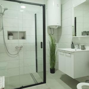 a bathroom with a shower and a sink at Afrodita apartment in Vrdnik