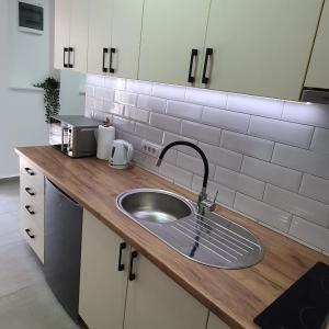 a kitchen counter with a sink and a counter top at Afrodita apartment in Vrdnik