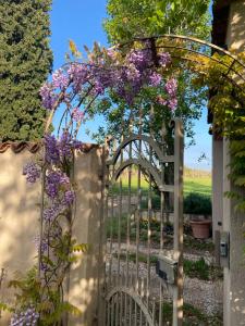 a garden gate with purple flowers hanging from it at Monte Maino Bed & Breakfast in Desenzano del Garda