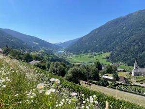 vistas a un valle desde una colina con flores en Haus Nocky Mountains, en Radenthein