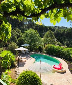 a swimming pool with a red inflatable at Les Bosquets in Lorgues