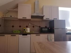 Kuchyň nebo kuchyňský kout v ubytování Hostel Poslon