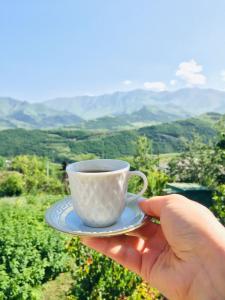 a hand holding a cup of coffee with a view at Ana-Maria Bnb in Tatʼev
