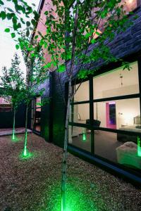 duas árvores com luzes verdes em frente a um edifício em The Eden Warehouse - Pink Apartment (sleeps 4) em Southport