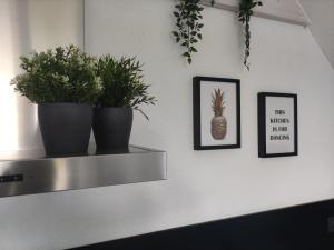 Fotografie z fotogalerie ubytování *** Biezoe *** v destinaci Brakel