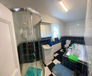 a bathroom with a shower and a sink and a toilet at Maisie's Seaside Cottage in Quilty