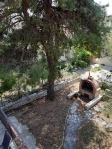 Vonkajšia záhrada v ubytovaní Pine Tree Apartment