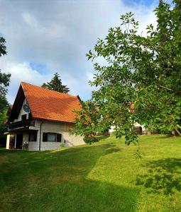 a house with an orange roof on a green yard at Kuca za odmor Zlatibor in Zlatibor