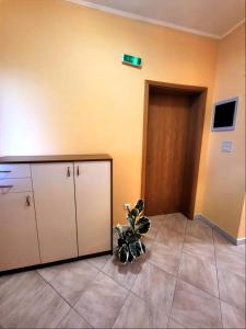 a plant sitting in the corner of a room with a door at Apartment Prvic Sepurine in Prvić Šepurine