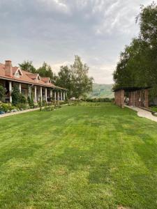 een lege tuin voor een huis bij Country Club La Mesteceni in Sebeş