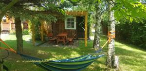 a blue hammock in front of a cabin at Szyszka i Róża Domek na Jurze in Zelasko